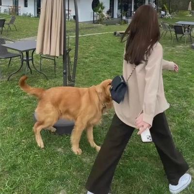 男孩与桥封面