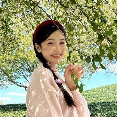 花园宝宝封面